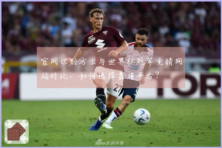 官网识别方法与世界杯冠军竞猜网站对比，如何选择靠谱平台？