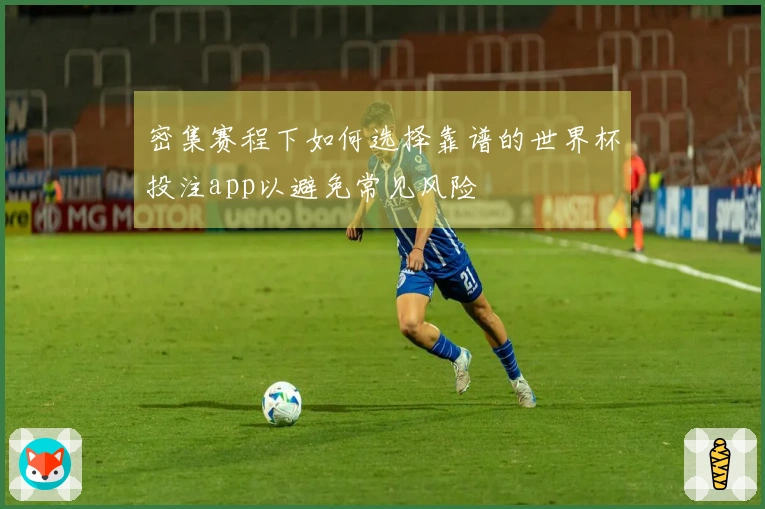 密集赛程下如何选择靠谱的世界杯投注app以避免常见风险