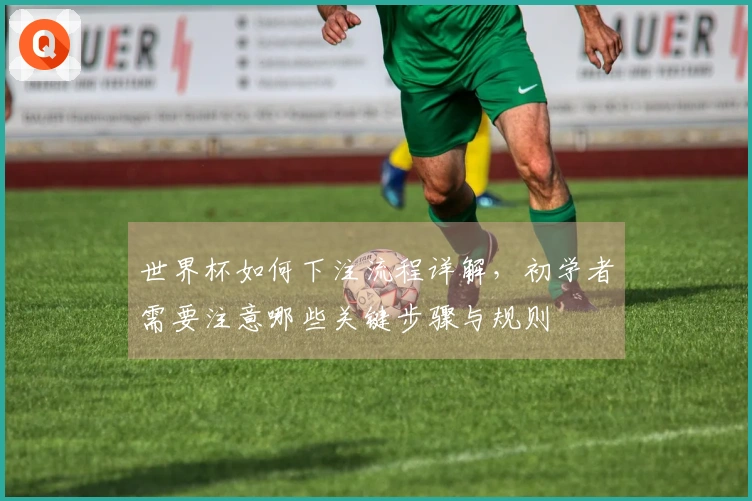 世界杯如何下注流程详解，初学者需要注意哪些关键步骤与规则