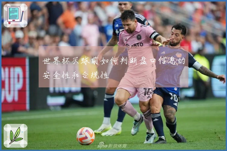 世界杯买球前如何判断盘口信息的安全性和合规性