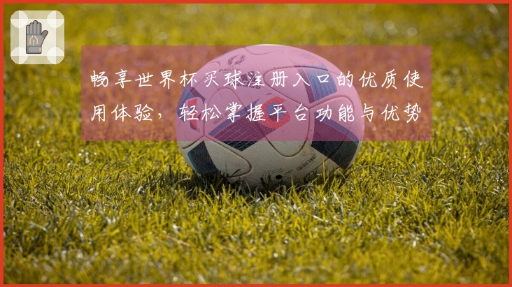 畅享世界杯买球注册入口的优质使用体验，轻松掌握平台功能与优势