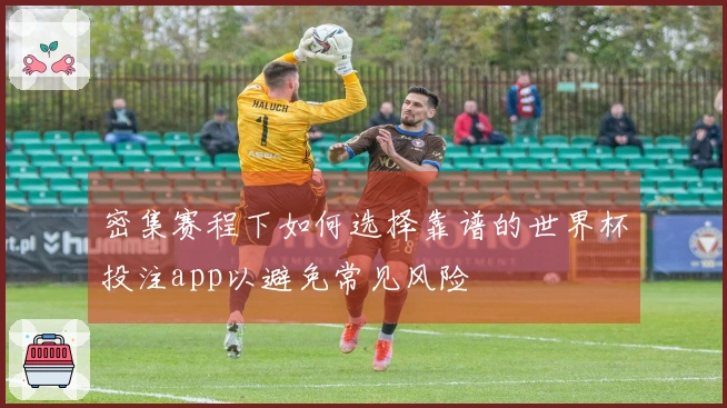 密集赛程下如何选择靠谱的世界杯投注app以避免常见风险