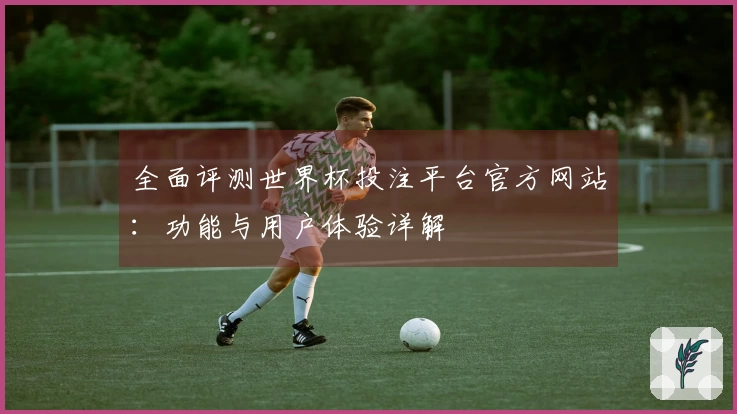 全面评测世界杯投注平台官方网站:功能与用户体验详解
