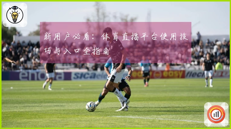 新用户必看：体育直播平台使用技巧与入口全指南
