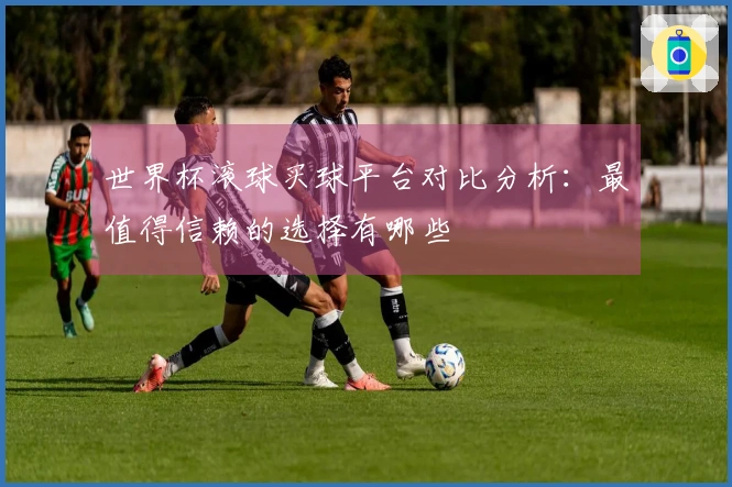 世界杯滚球买球平台对比分析：最值得信赖的选择有哪些