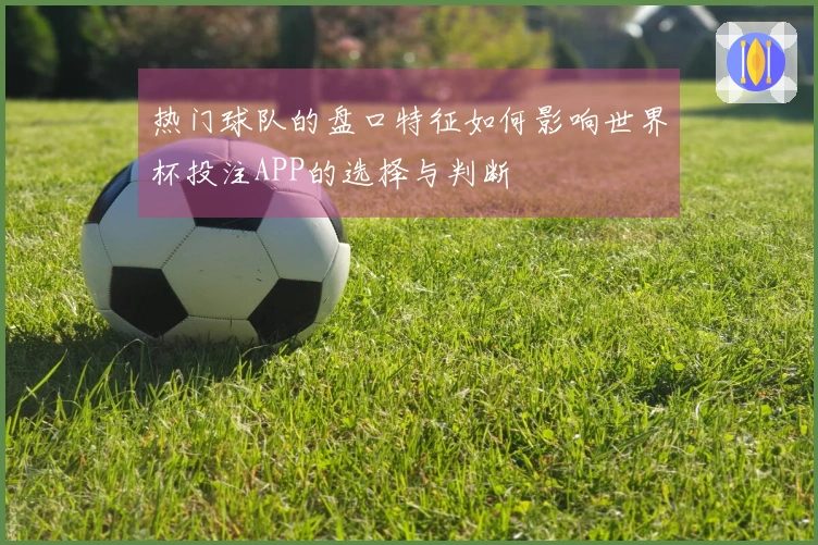 热门球队的盘口特征如何影响世界杯投注APP的选择与判断