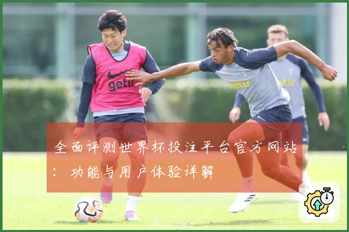 全面评测世界杯投注平台官方网站：功能与用户体验详解