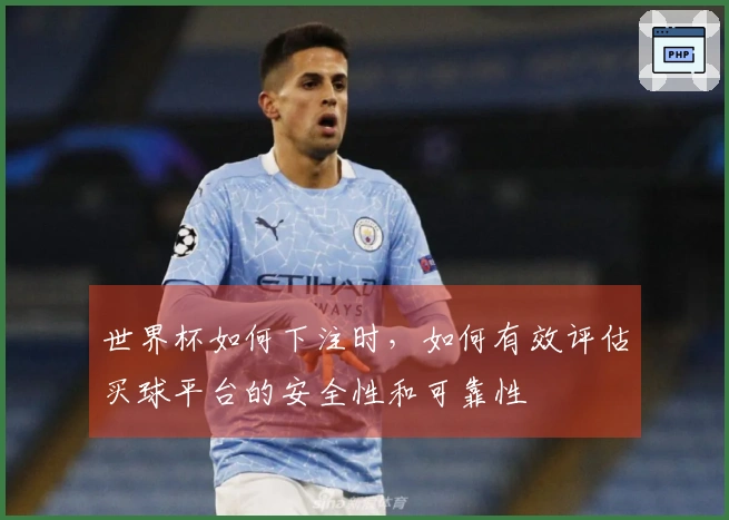 世界杯如何下注时,如何有效评估买球平台的安全性和可靠性