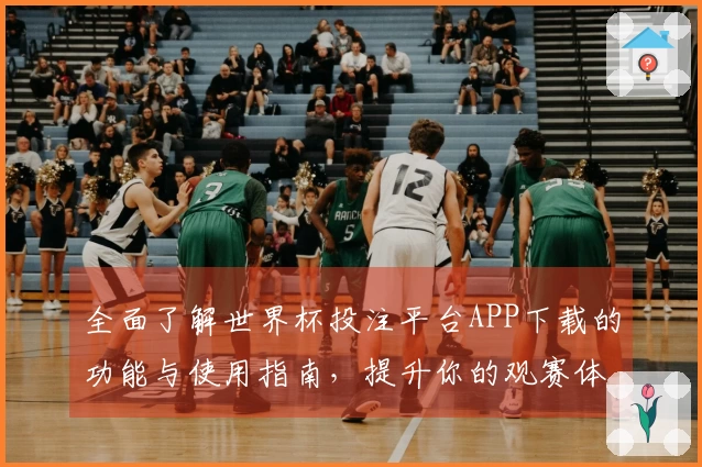 全面了解世界杯投注平台APP下载的功能与使用指南，提升你的观赛体验！