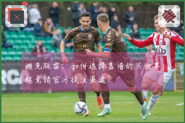 避免踩雷：如何选择靠谱的买世界杯竞猜官方投注渠道？
