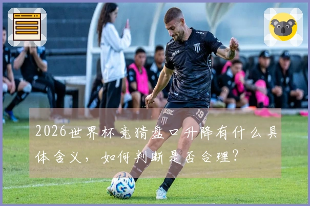 2026世界杯竞猜盘口升降有什么具体含义，如何判断是否合理？