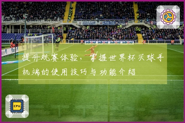 提升观赛体验，掌握世界杯买球手机端的使用技巧与功能介绍